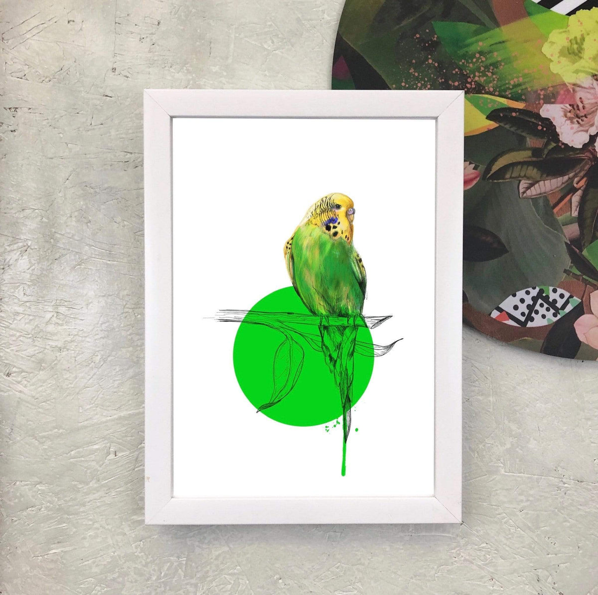 Budgie A2 Giclée Print