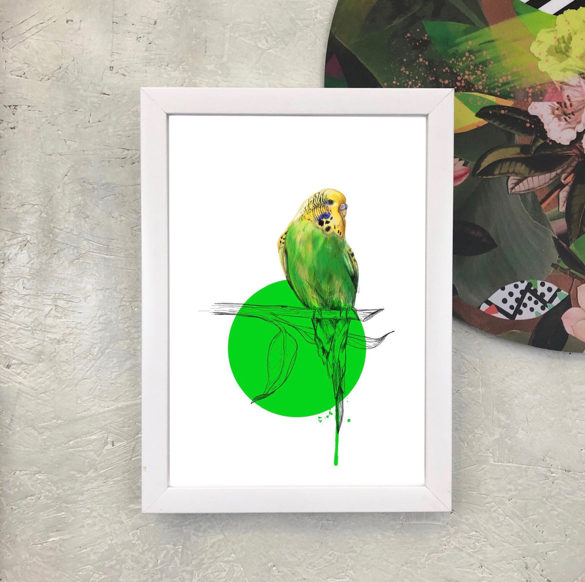 Budgie A3 Giclée Print