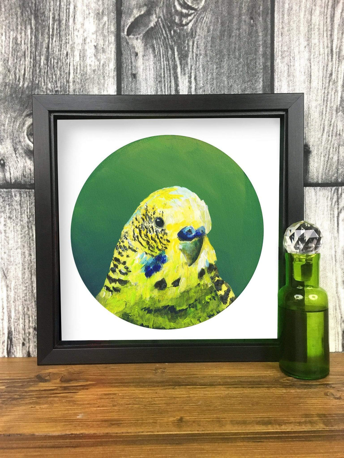 Framed Green Budgie