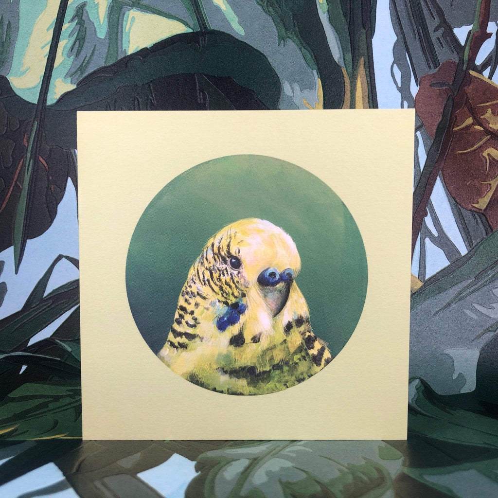 Green Budgie Greeting Card