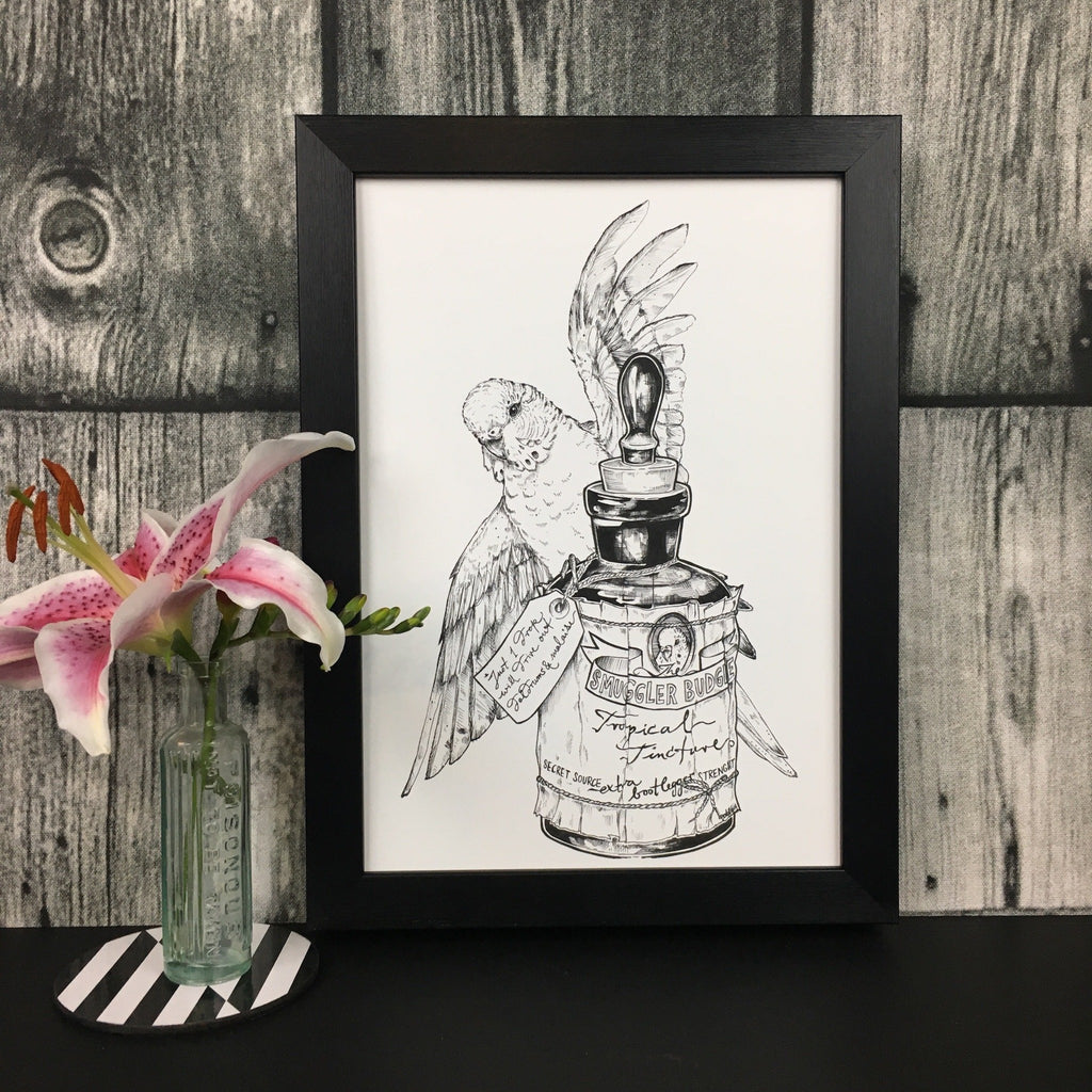 Smuggler Budgie Tropical Tincture A3 Print
