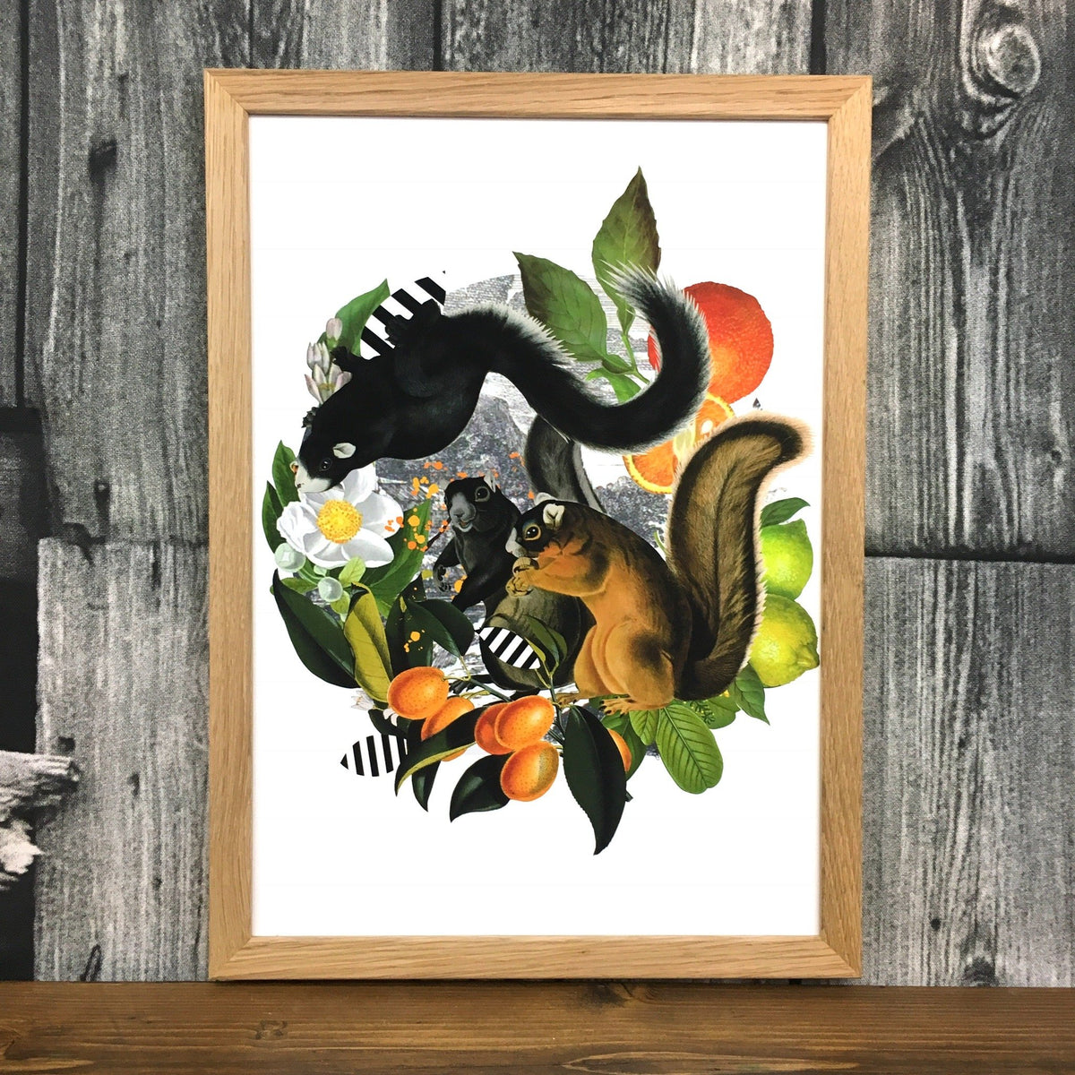 Squirrels in Sicily A3 Print