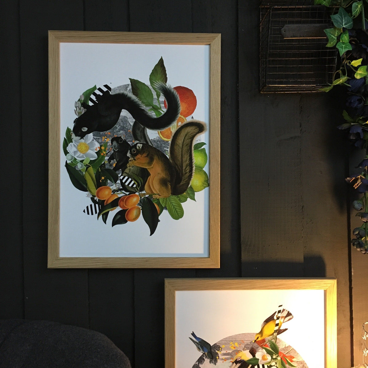 Squirrels in Sicily A3 Print