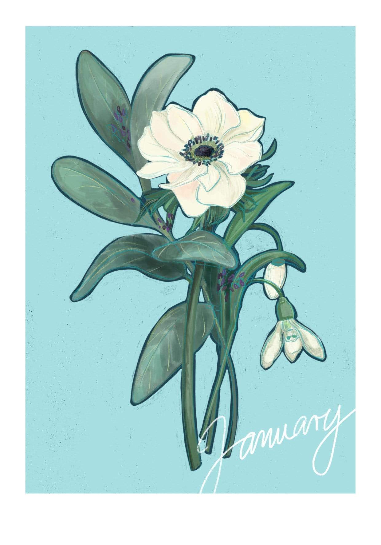 January Birthday Bloom Greeting Card