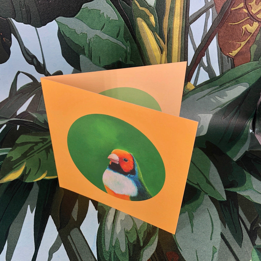 Gouldian Finch Greeting Card