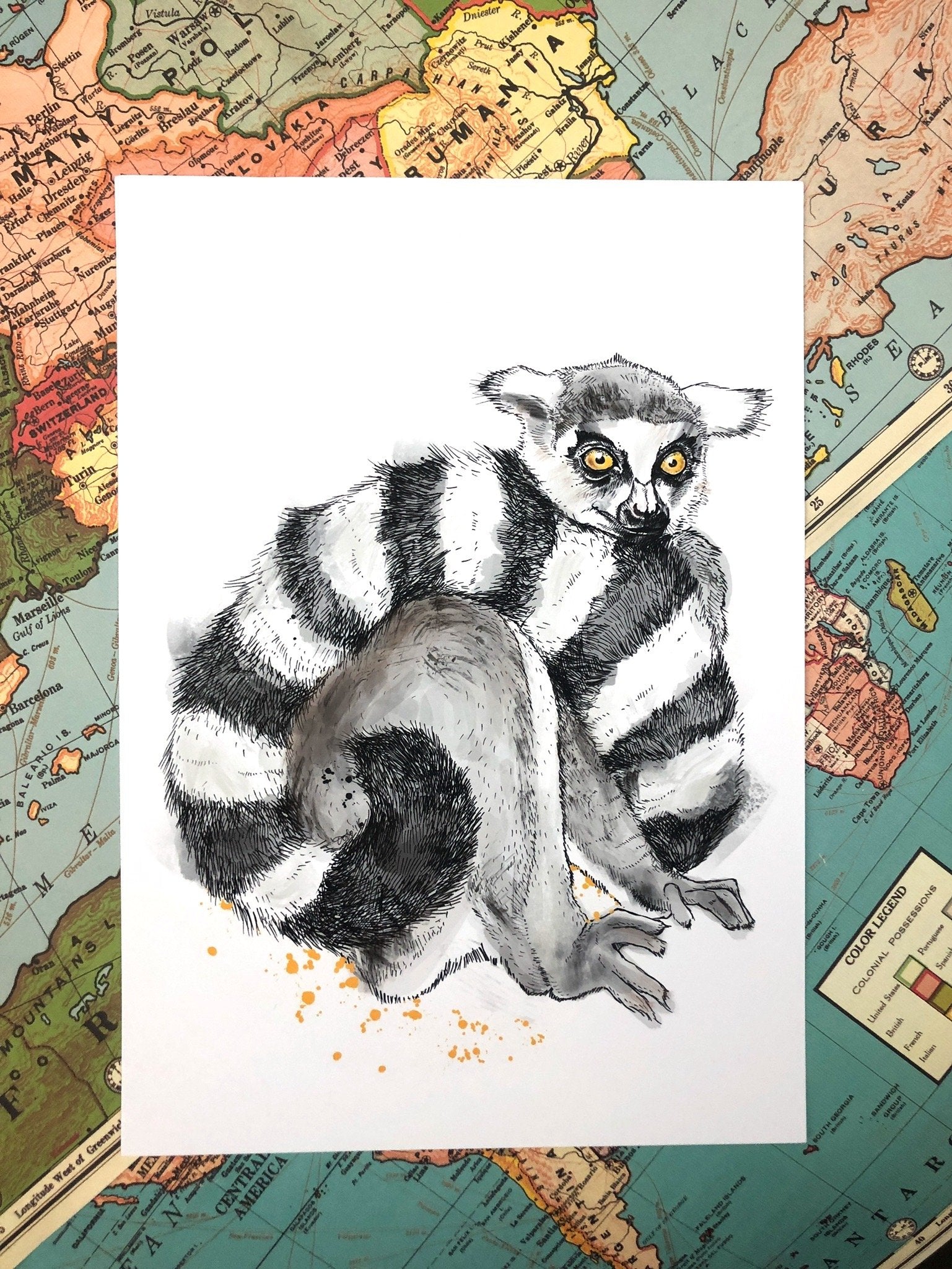 Lemur A4 Print