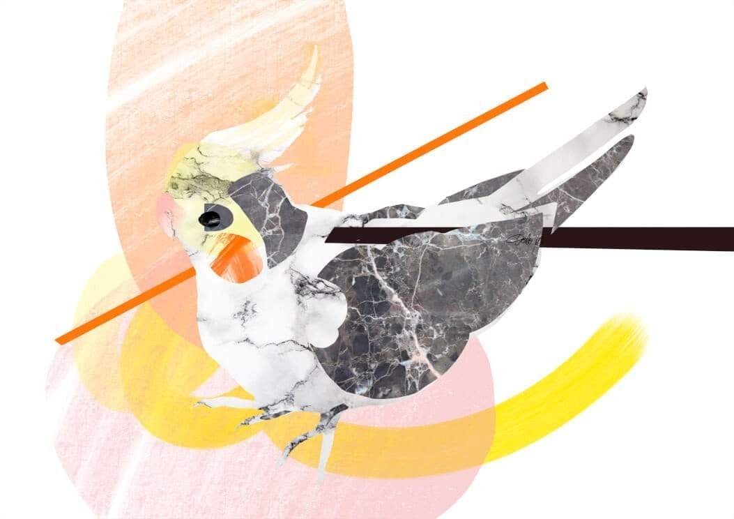 Marble Cockatiel A4 Print