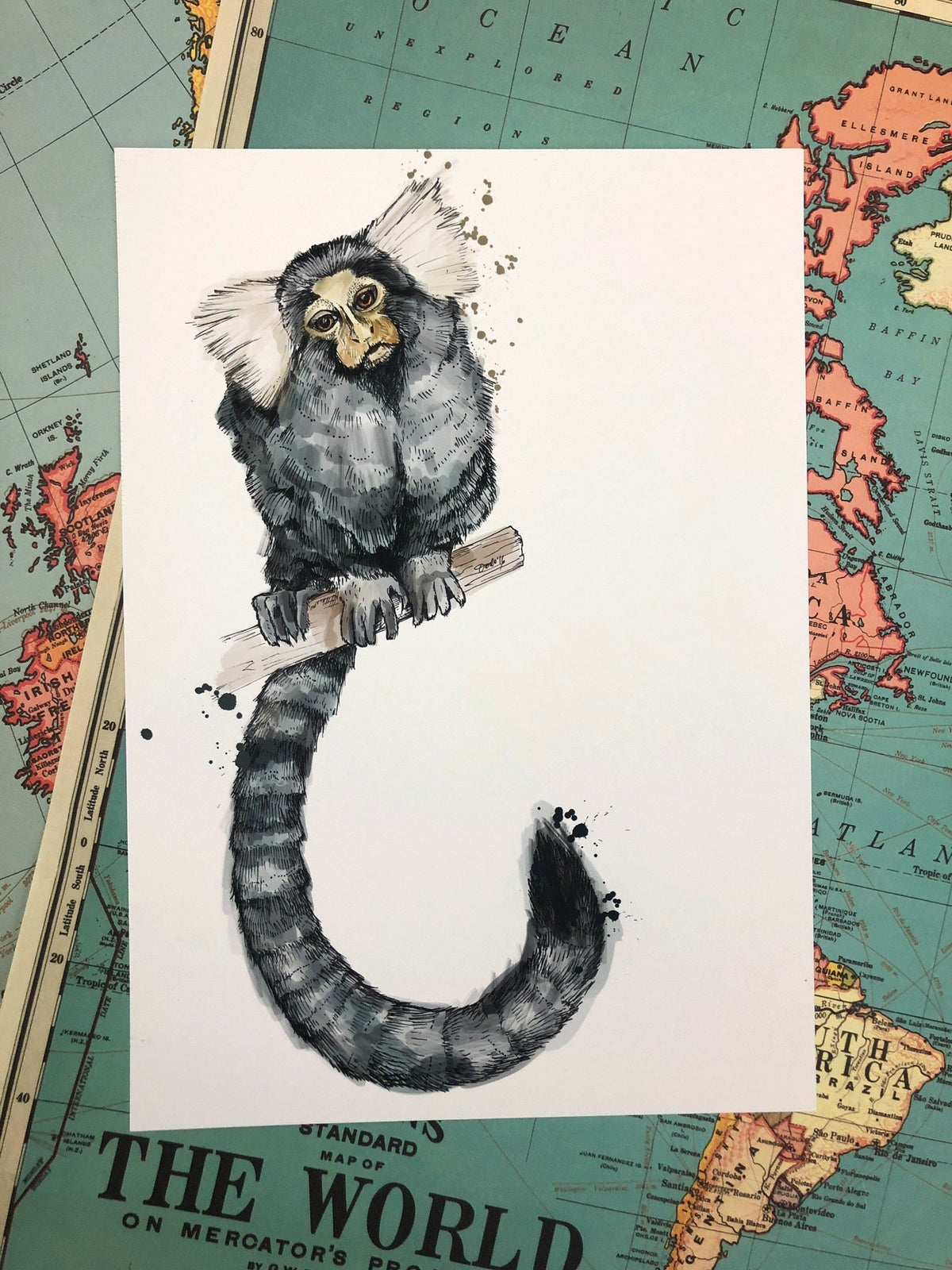 Marmoset A4 Print