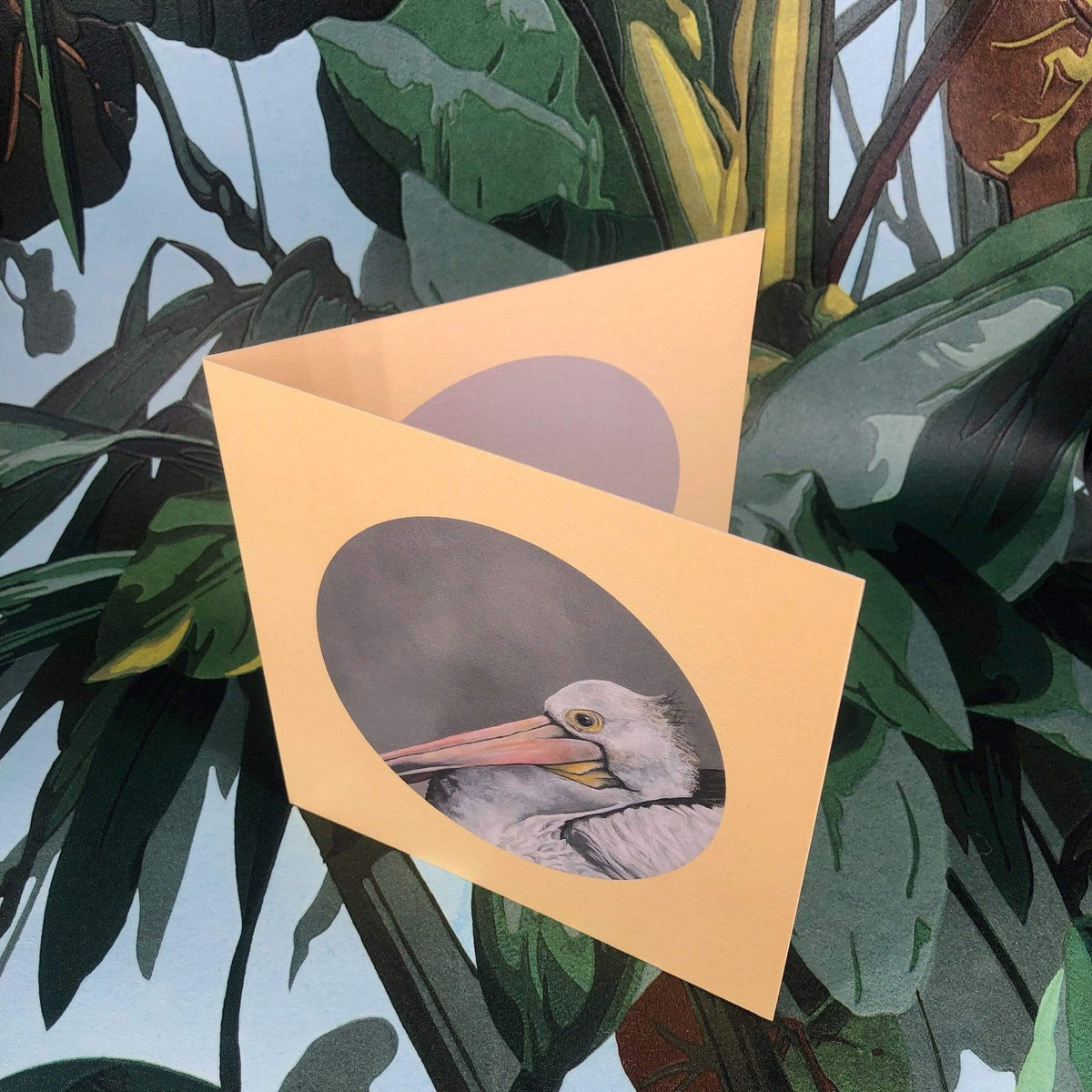 Pelican Greeting Card