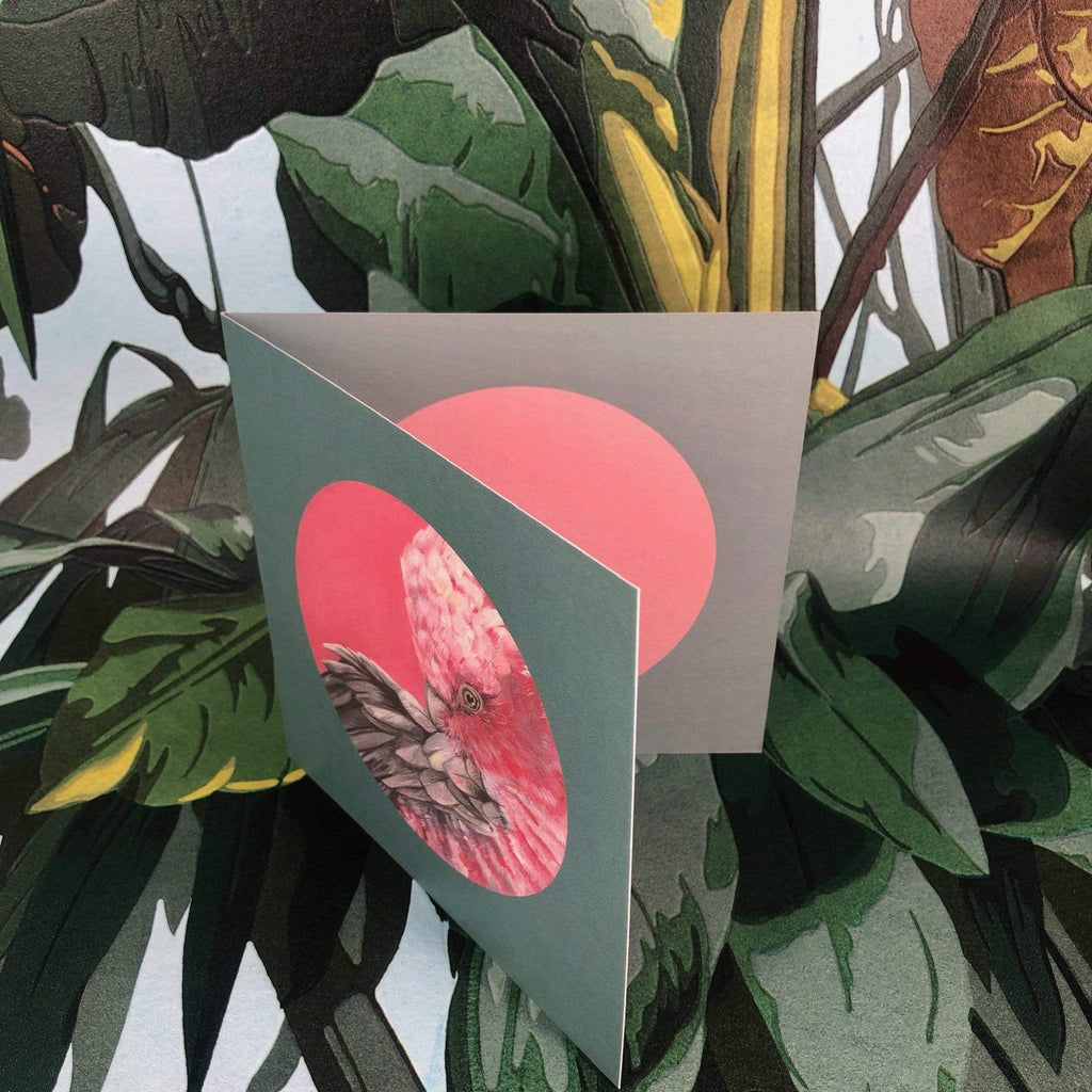 Pink Galah Greeting Card