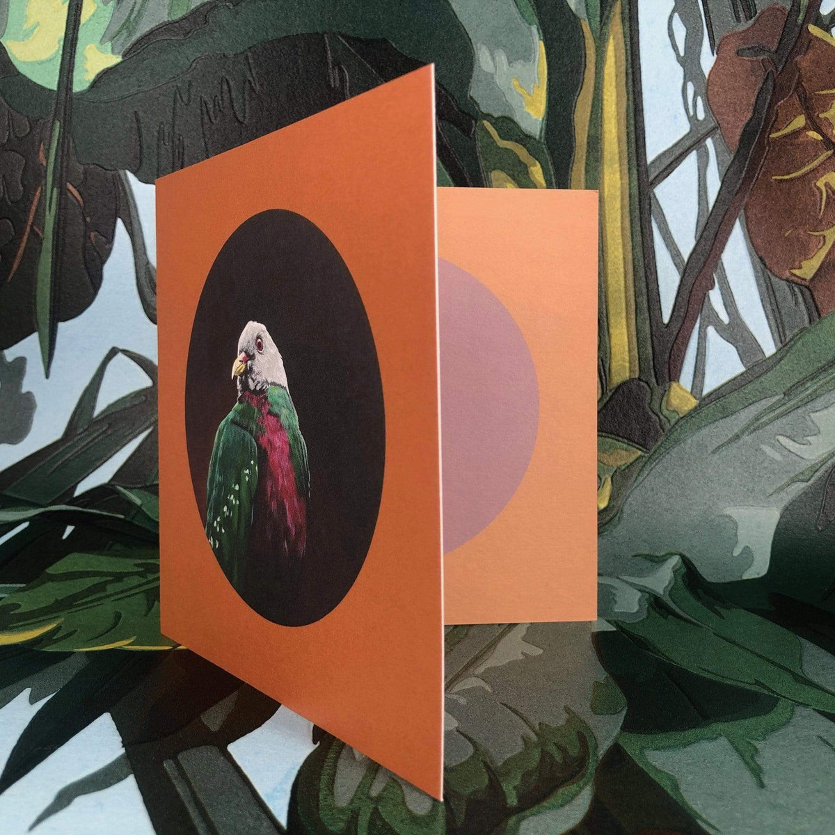 Wompoo Fruit Dove Greeting Card