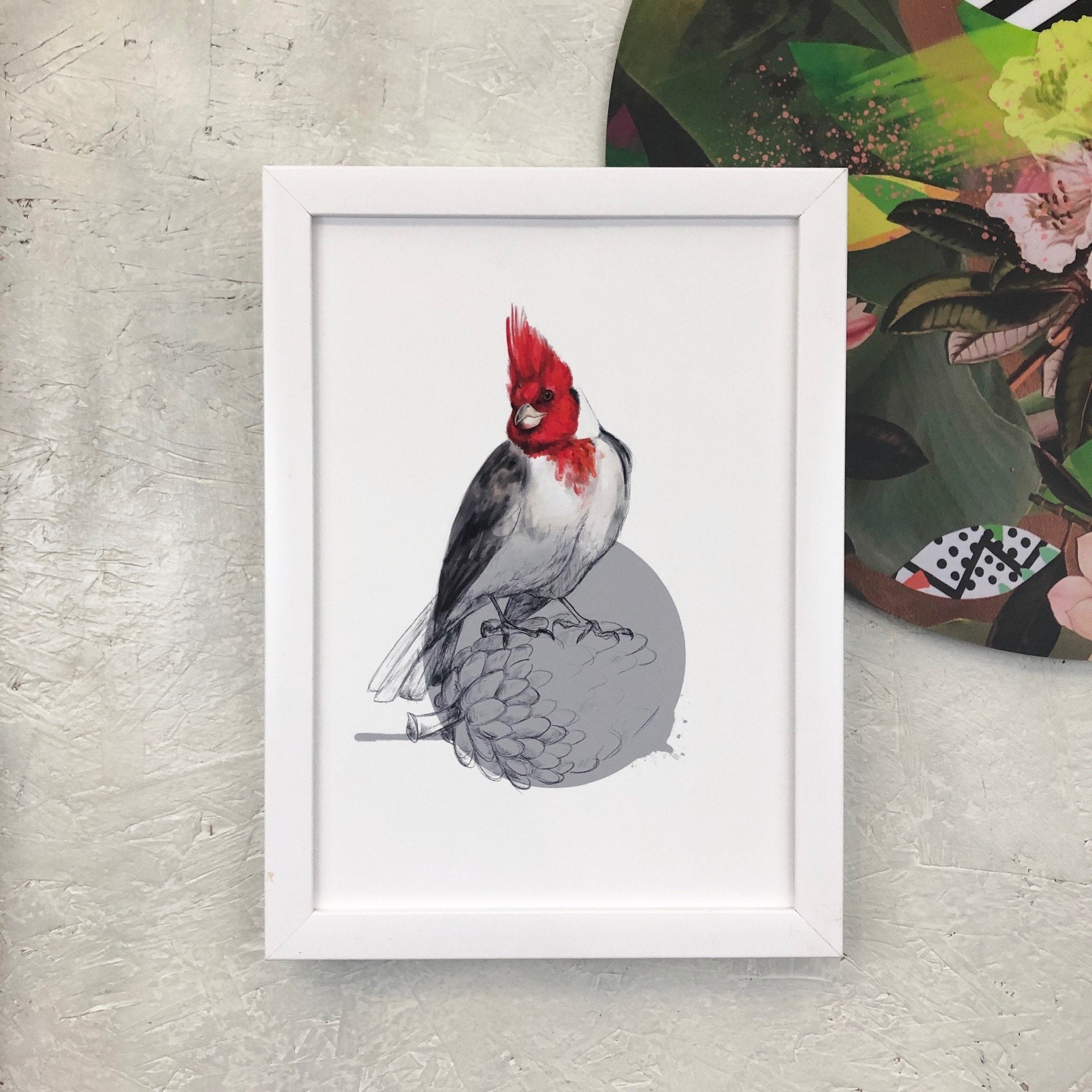 Red Crested Cardinal A4 Giclée Print