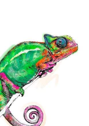 Reptiles & Amphibians Greeting Card Set