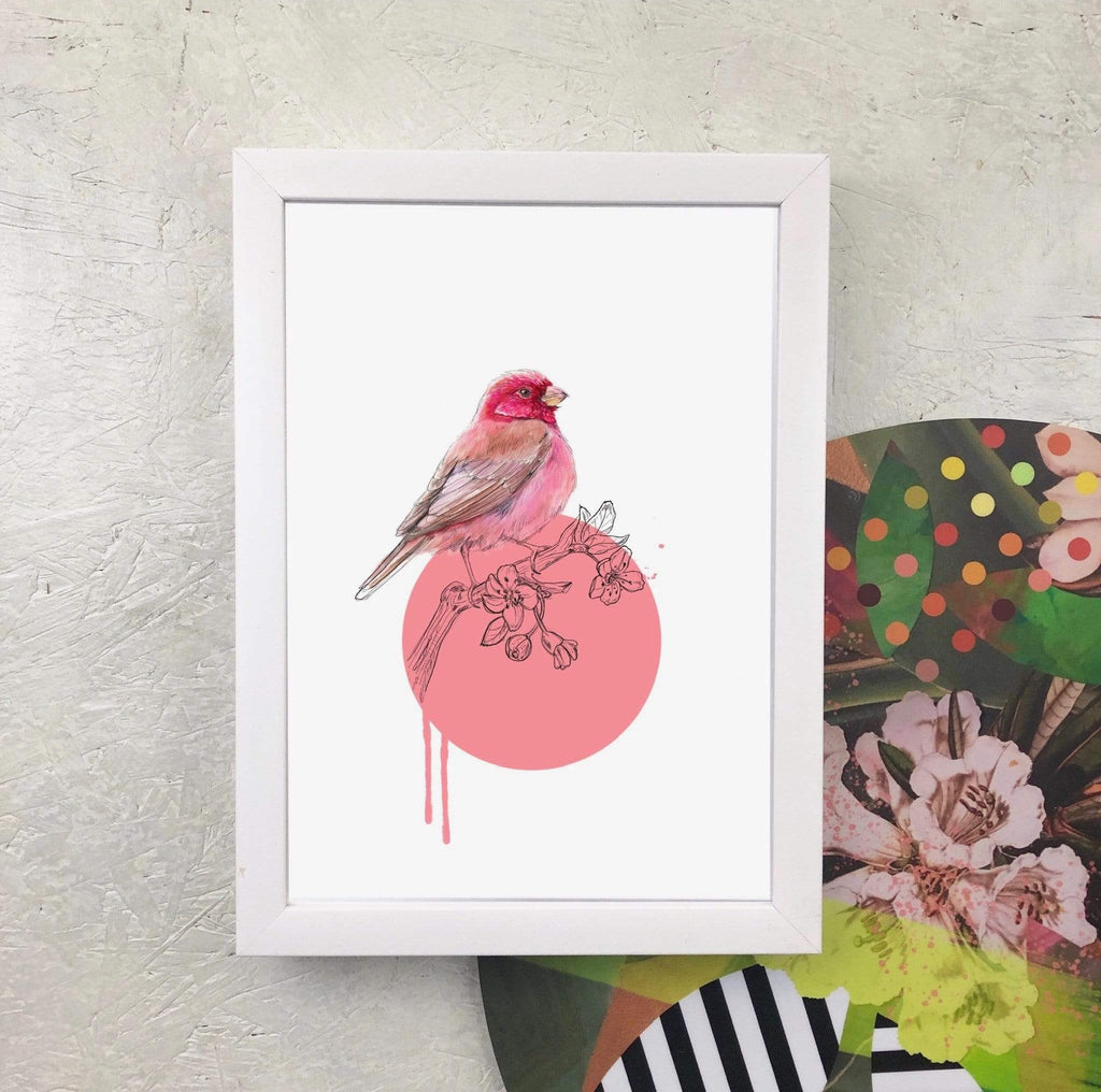 Rose Finch A2 Giclée Print