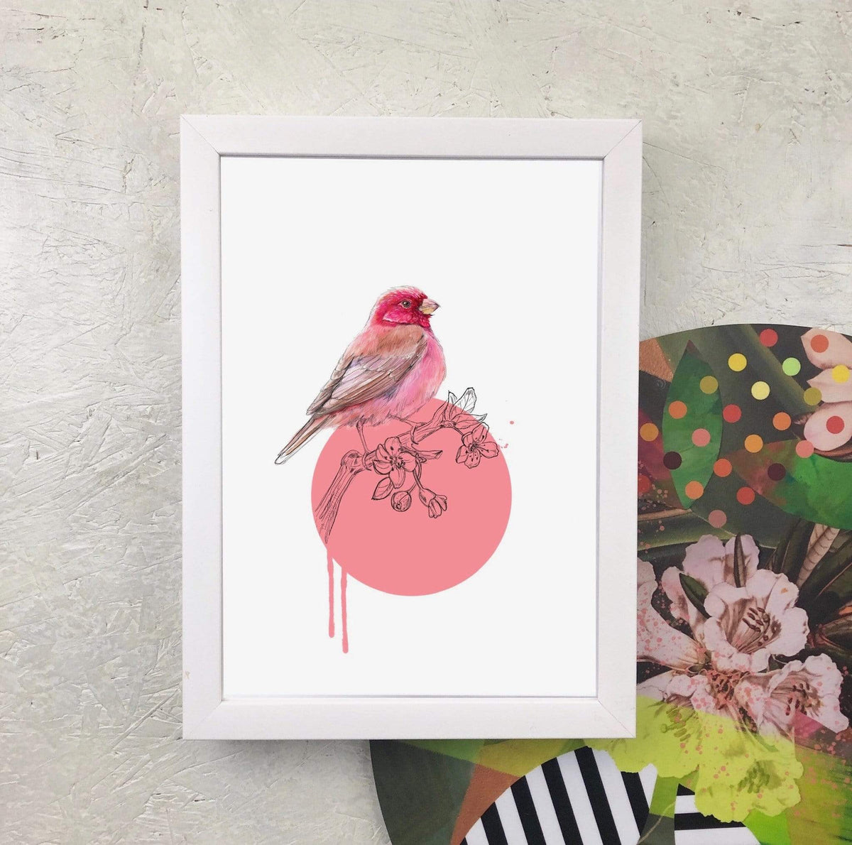 Rose Finch A2 Giclée Print
