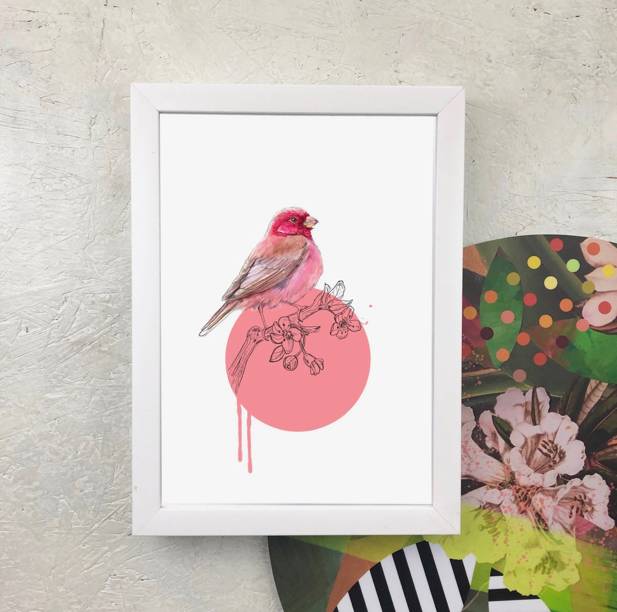 Rose Finch A4 Giclée Print