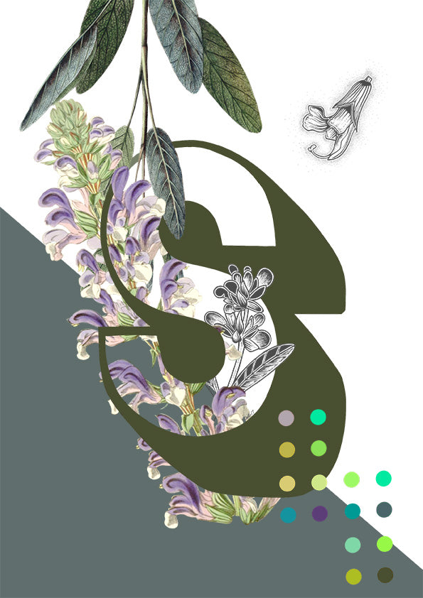 Botanical Alphabet Greeting Cards Full Set