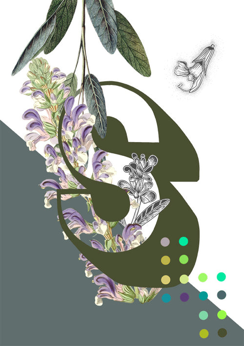 Botanical Alphabet Greeting Cards Full Set