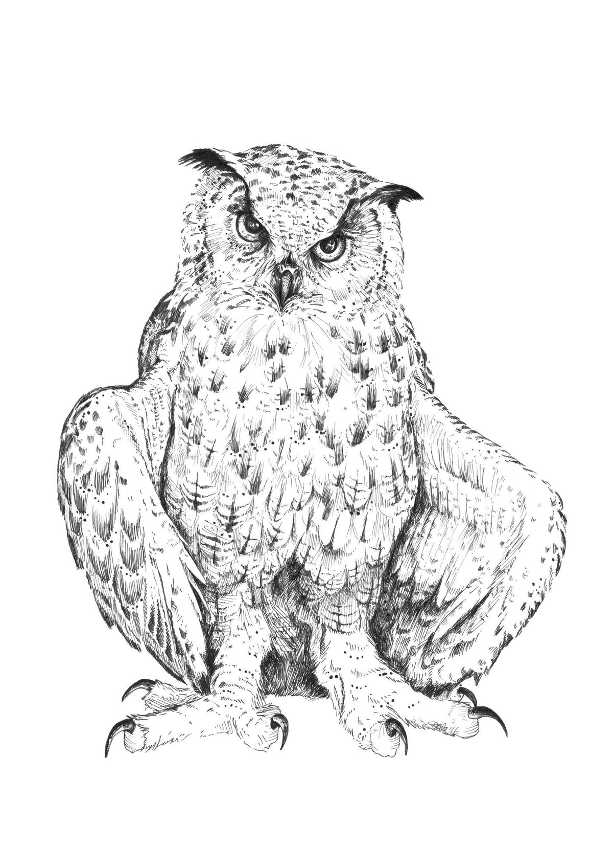 Scowly A3 Print