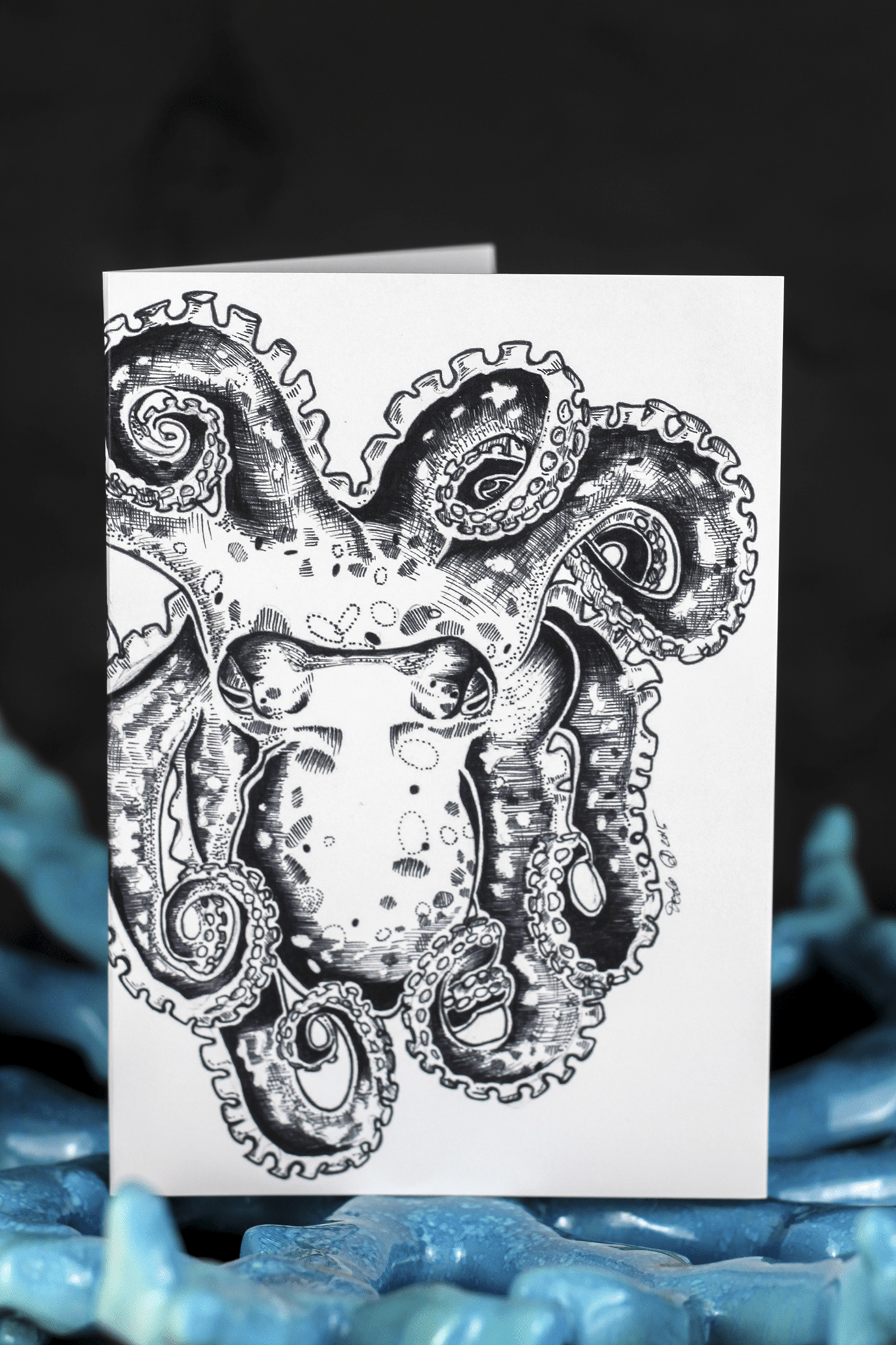 Sea Creatures Greeting Card Set