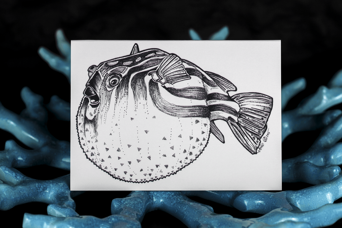 Sea Creatures Greeting Card Set