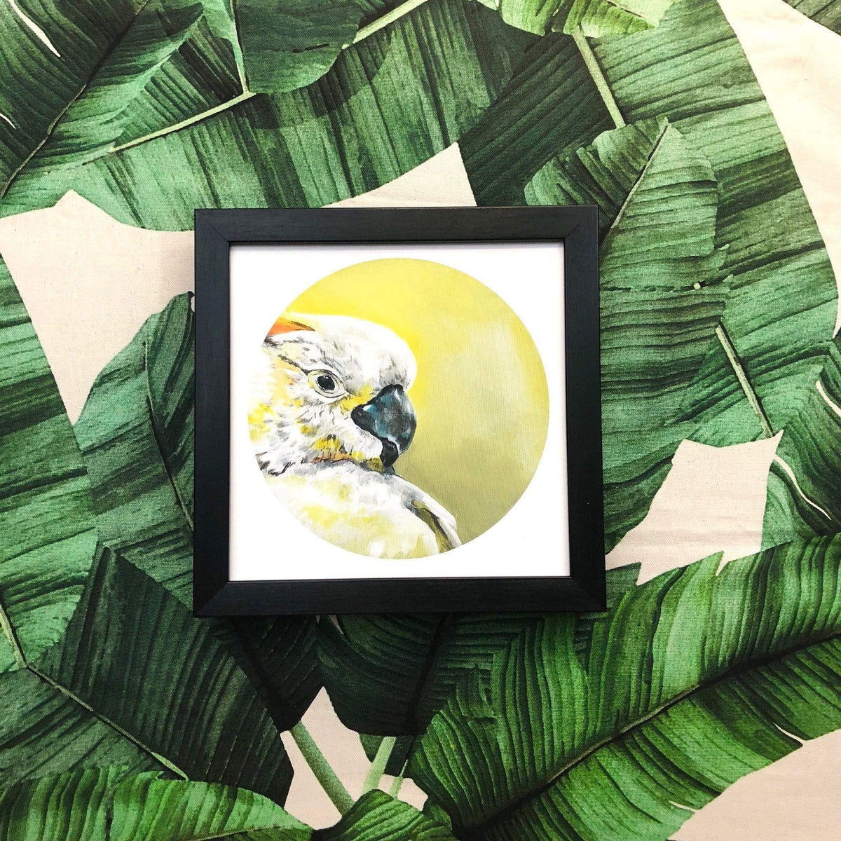 Sulphur Crested Cockatoo 8" Giclée Print