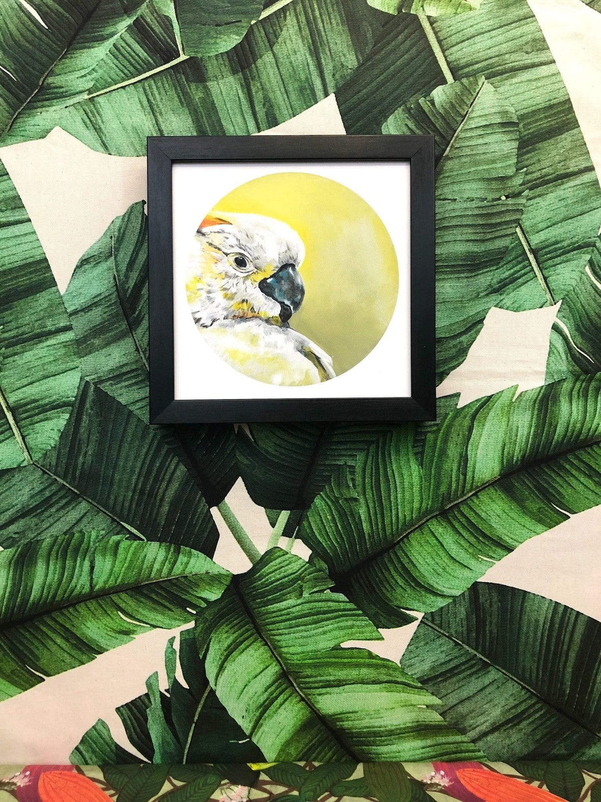 Sulphur Crested Cockatoo 8" Giclée Print