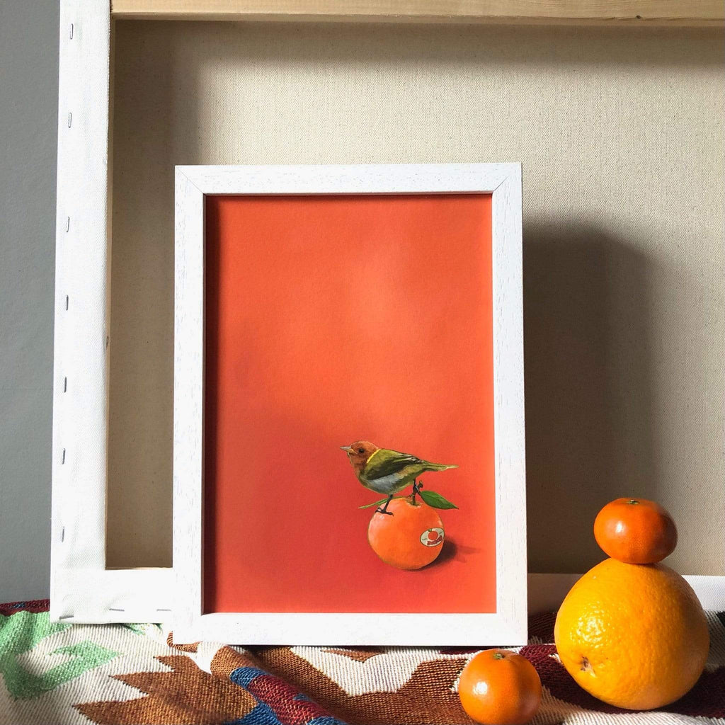 Tangerine Tanager Giclée Art Print Sticky Beaks Art Print