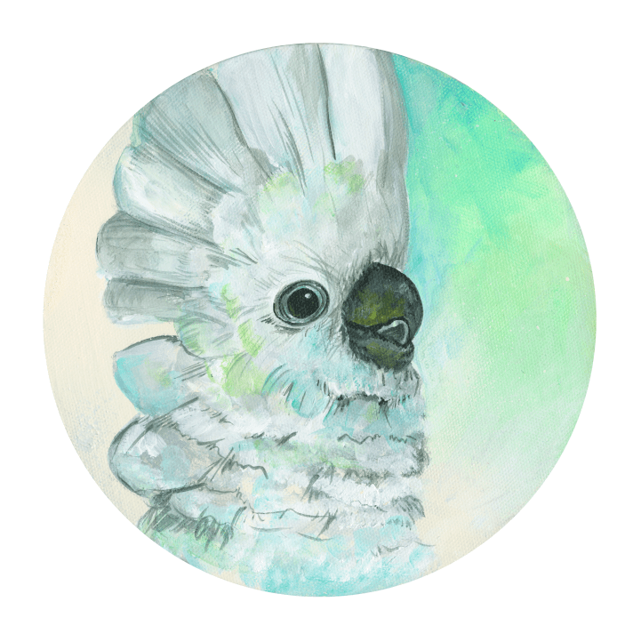 Umbrella Cockatoo 8" Giclée Print