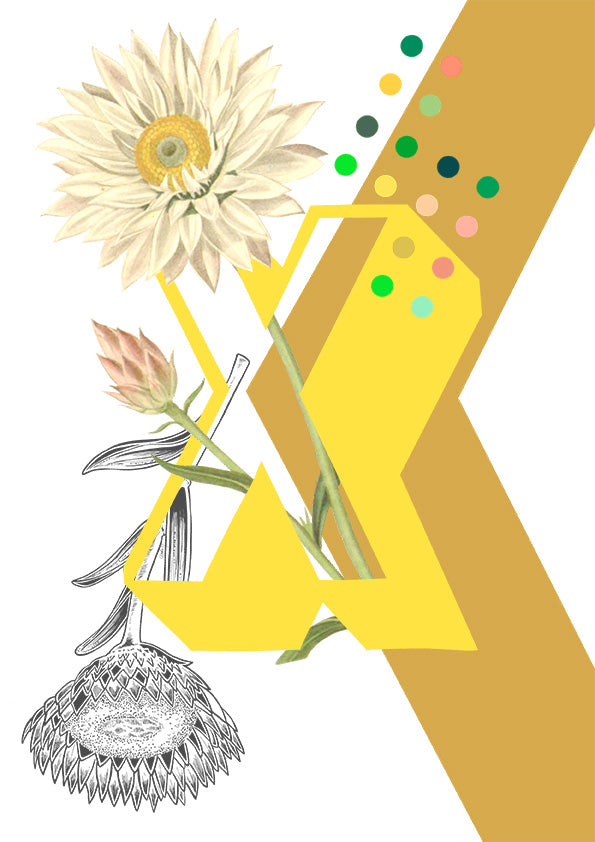 Botanical Alphabet Greeting Card Top Up Pack