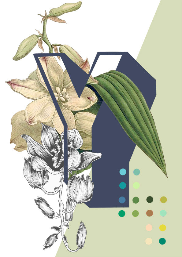 Botanical Alphabet Greeting Card Top Up Pack