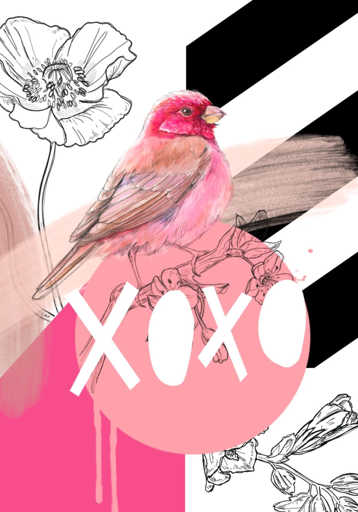 Rose Finch XOXO Greeting Card