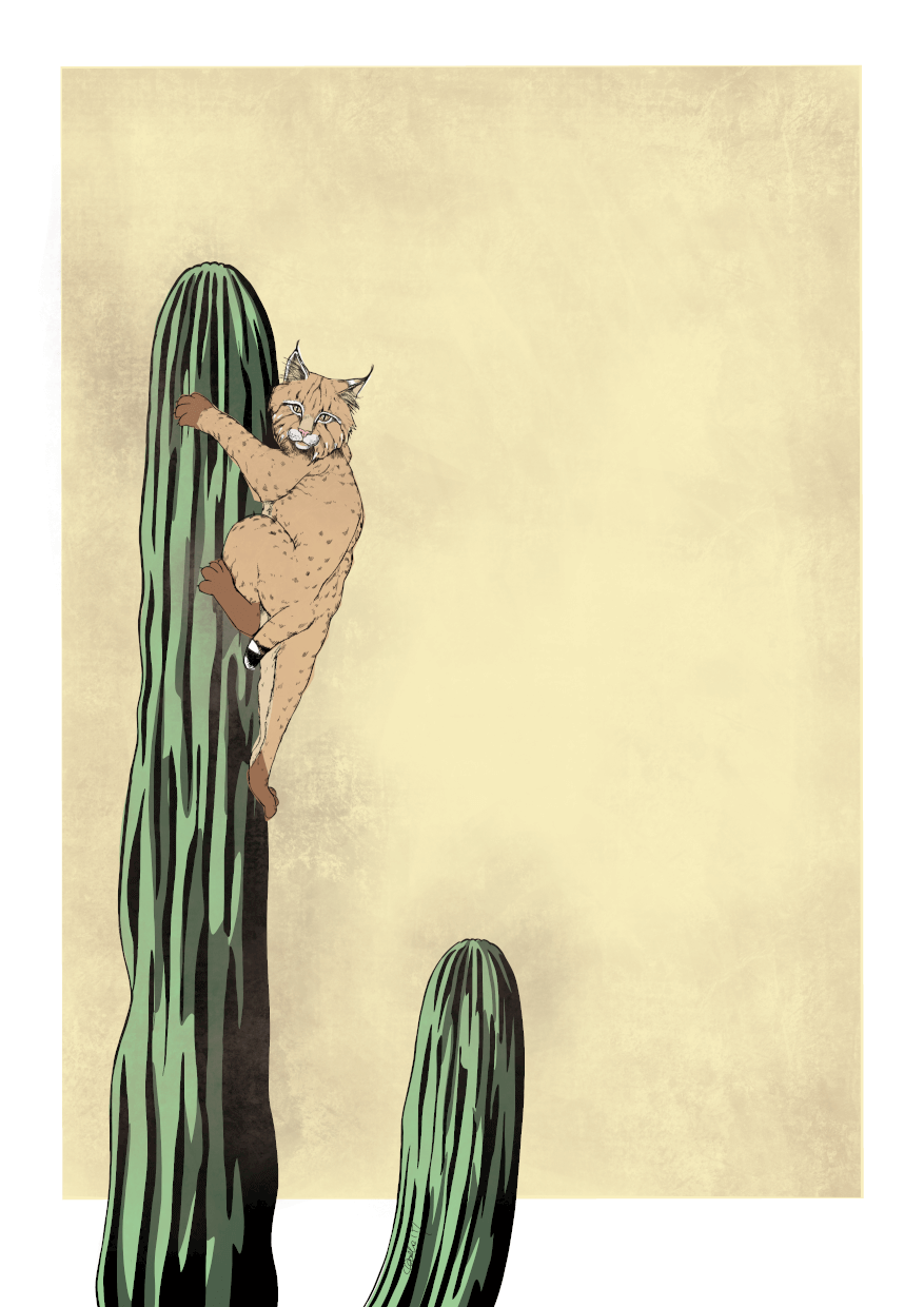 Bobcatctus Yellow Matte Art Print