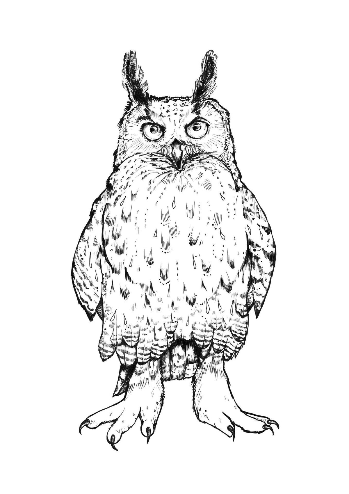 Growly A3 Print