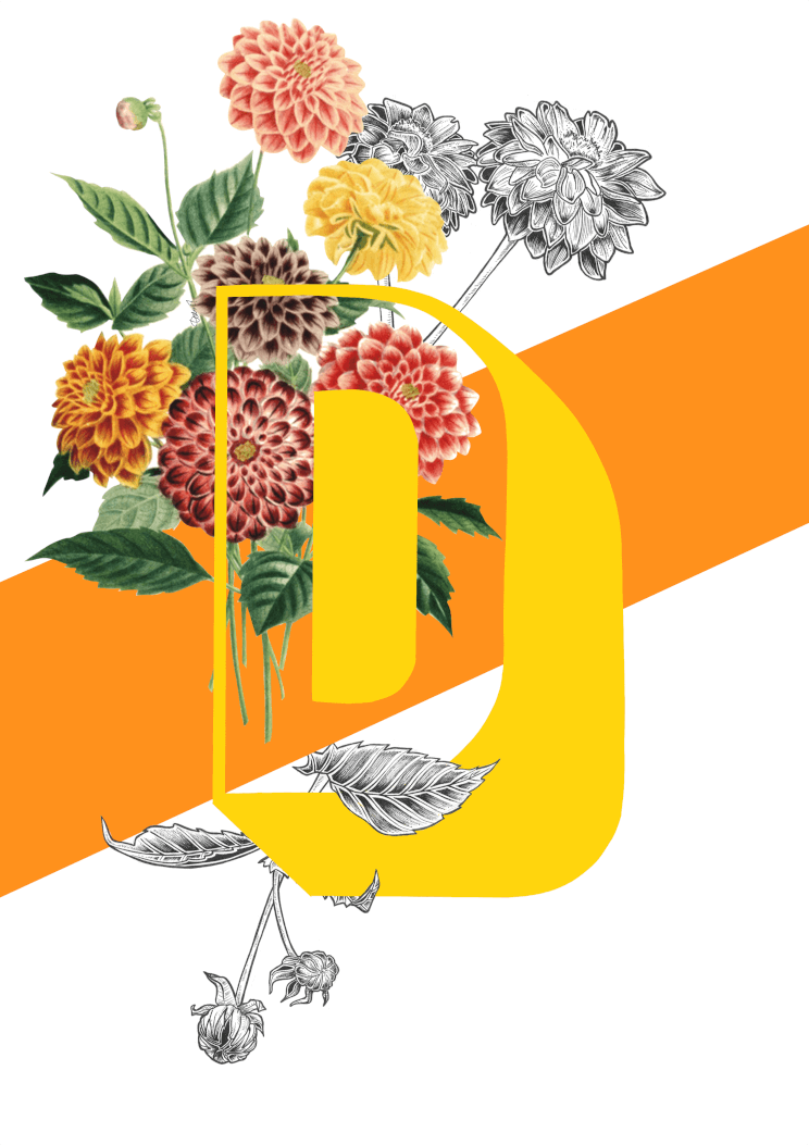 Botanical Alphabet D A4 Print