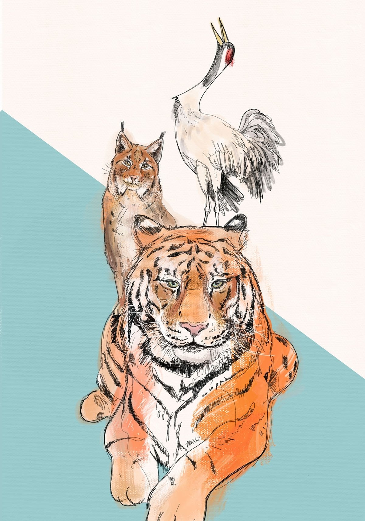 Eurasian Crane, Northern Lynx & Amur Tiger Greeting Card - (Trade Pack 6)