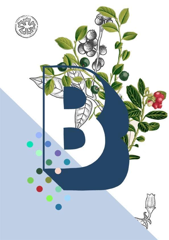 Botanical Alphabet B Greeting Card