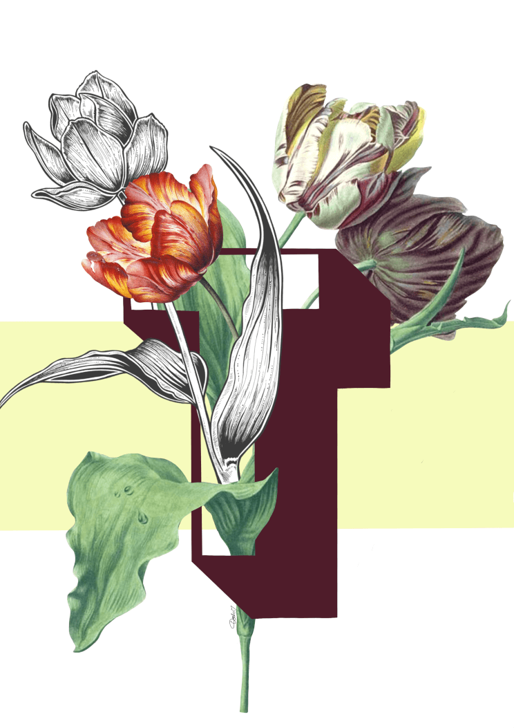 Botanical Alphabet T A2 Print