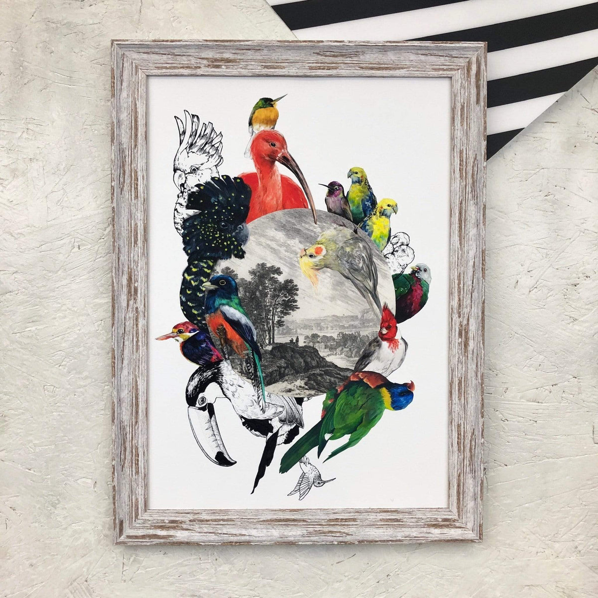 Le Beak C'est Chic A4 Print
