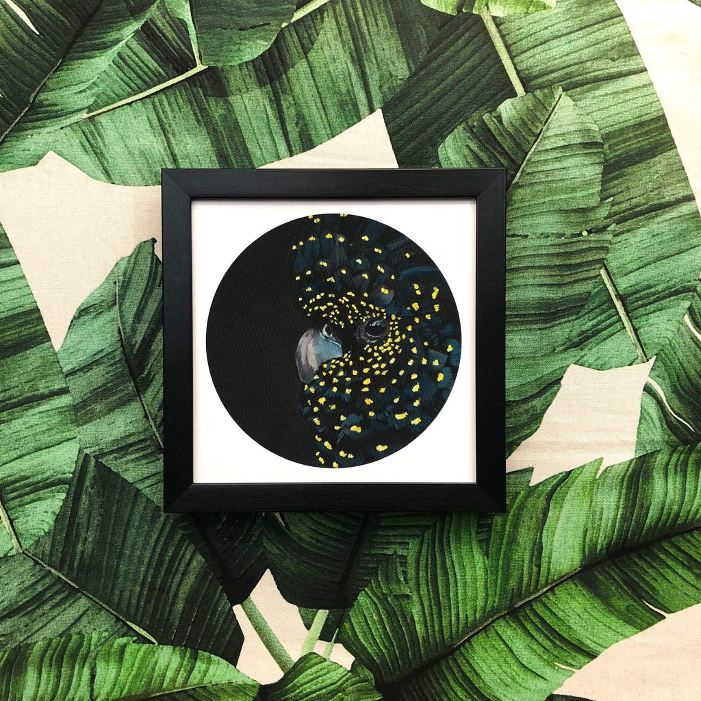 Black Cockatoo 8" Giclée Print