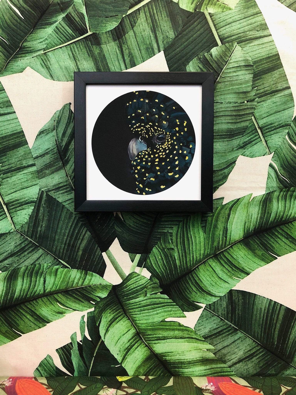 Black Cockatoo 8" Giclée Print
