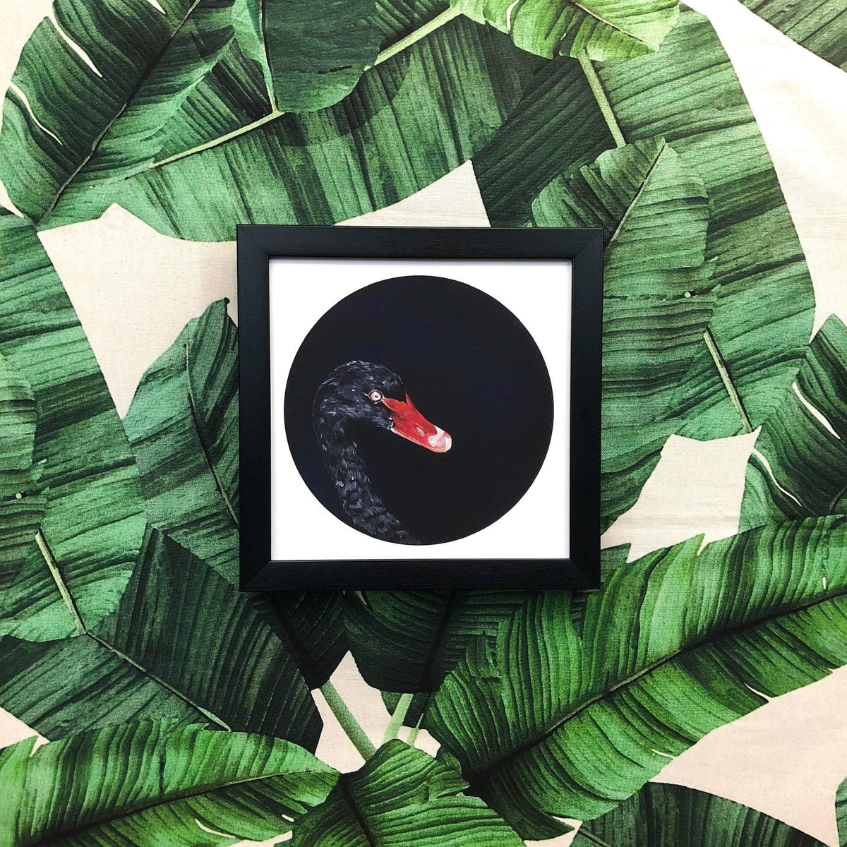 Black Swan 8" Giclée Print