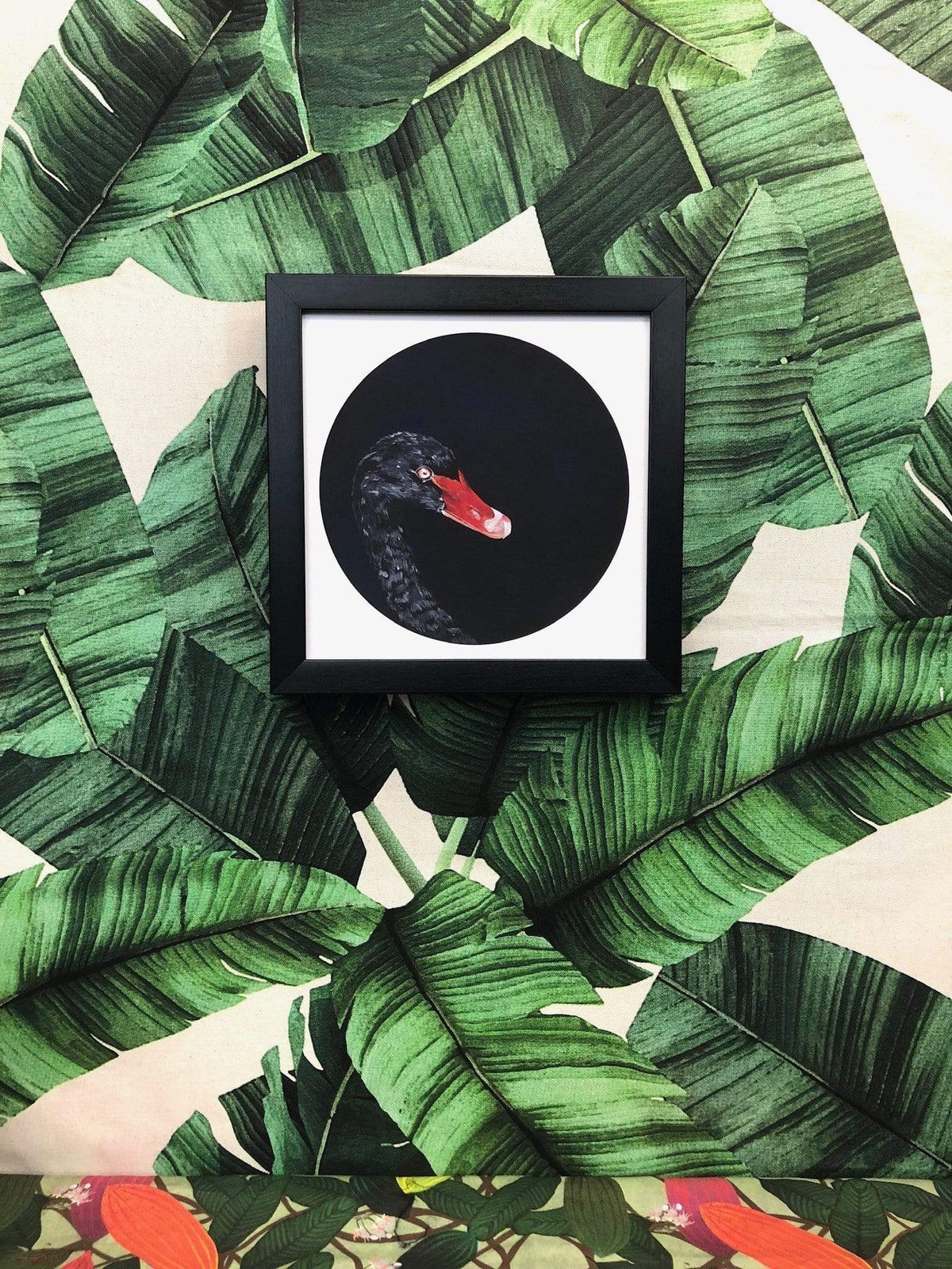 Black Swan 8" Giclée Print
