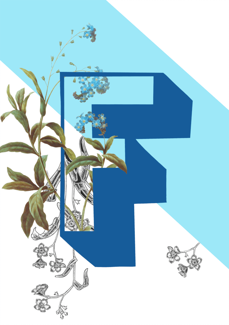 Botanical Alphabet F A2 Print