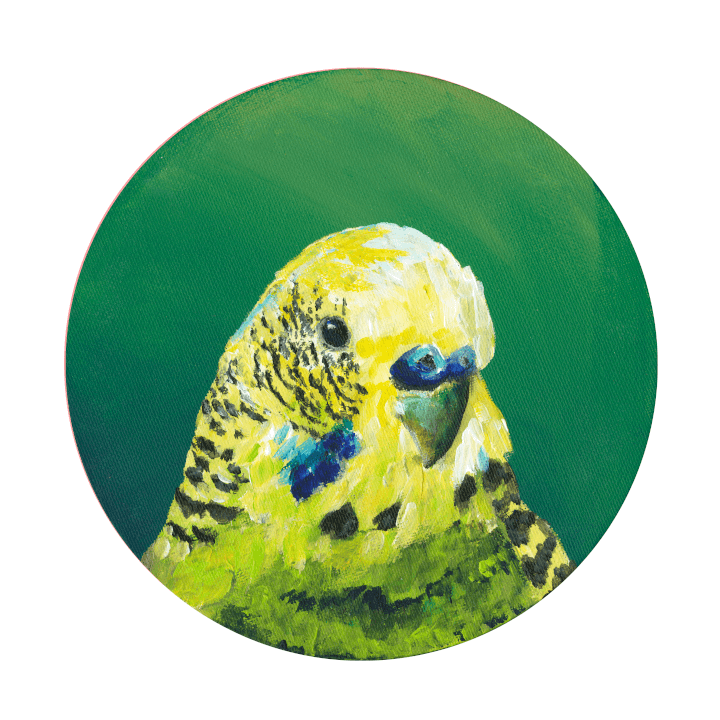 Parakeet