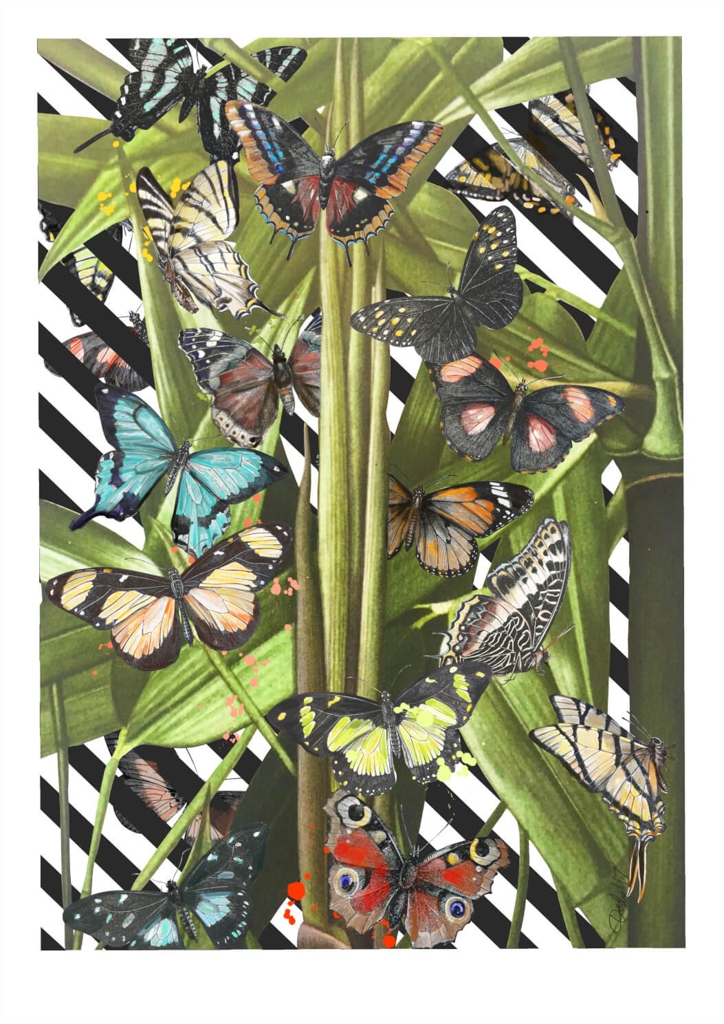 Butterfly Tropicana A4 Print
