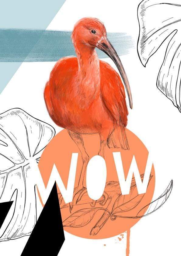 Scarlet Ibis - Wow Greeting Card