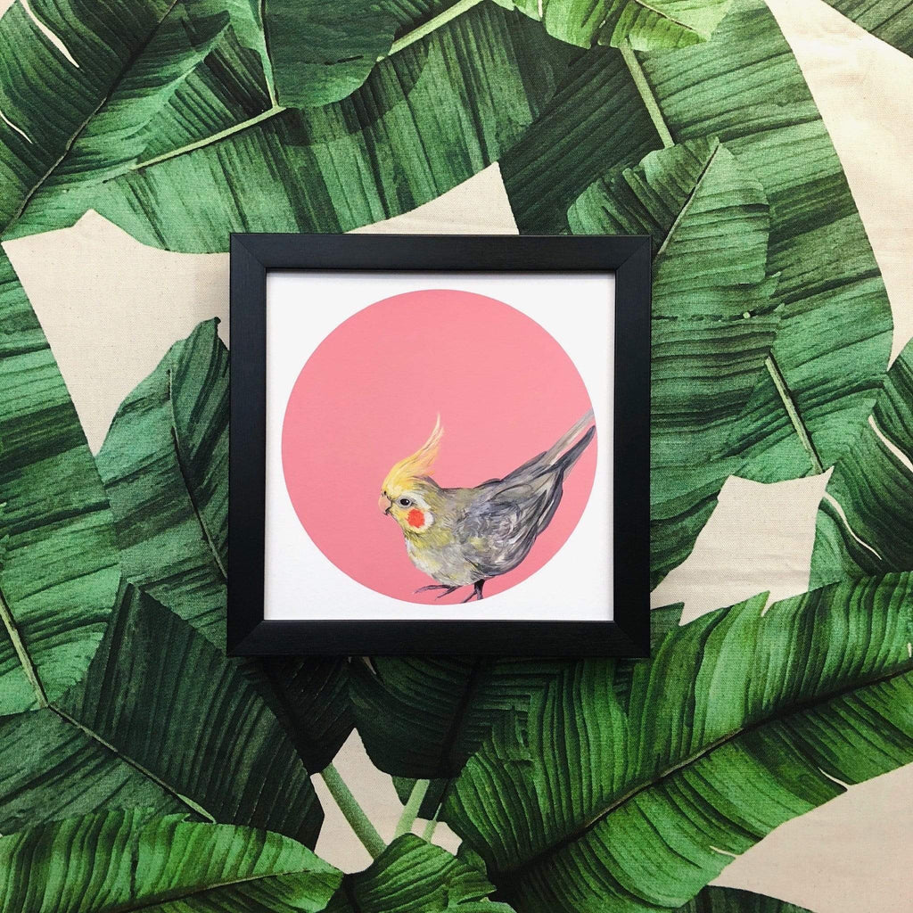 Cockatiel 8" Giclée Print