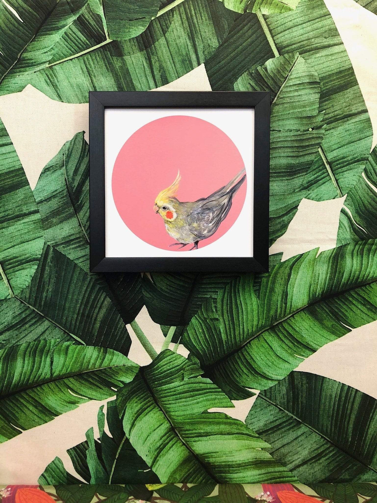 Cockatiel 8" Giclée Print