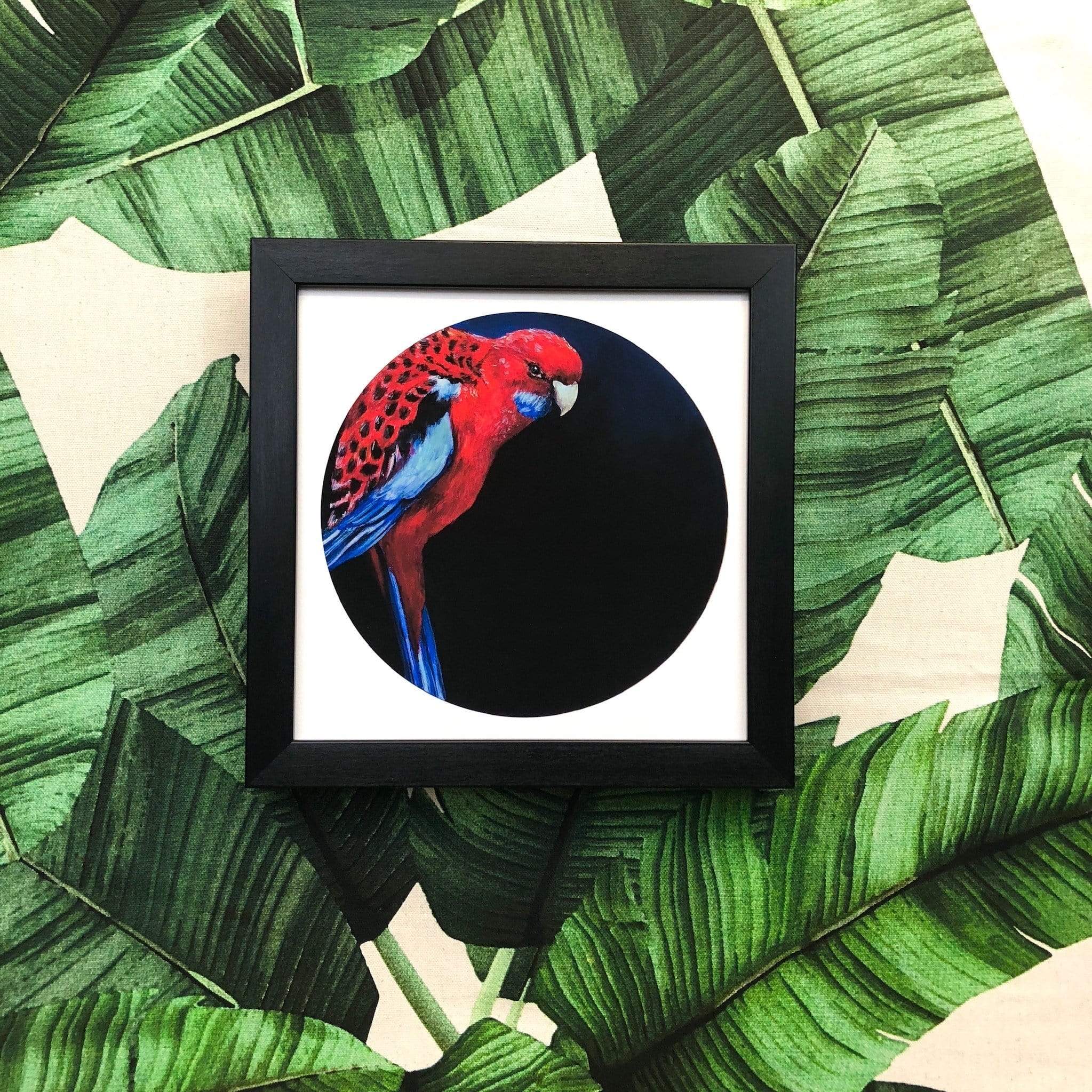 Crimson Rosella 8" Giclée Print